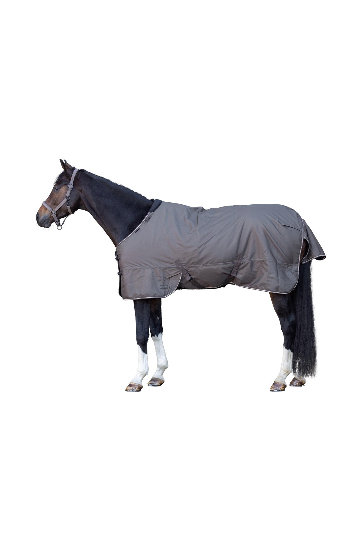 Covalliero FW26 Outdoor Horse Rug 50g Horse Rugs