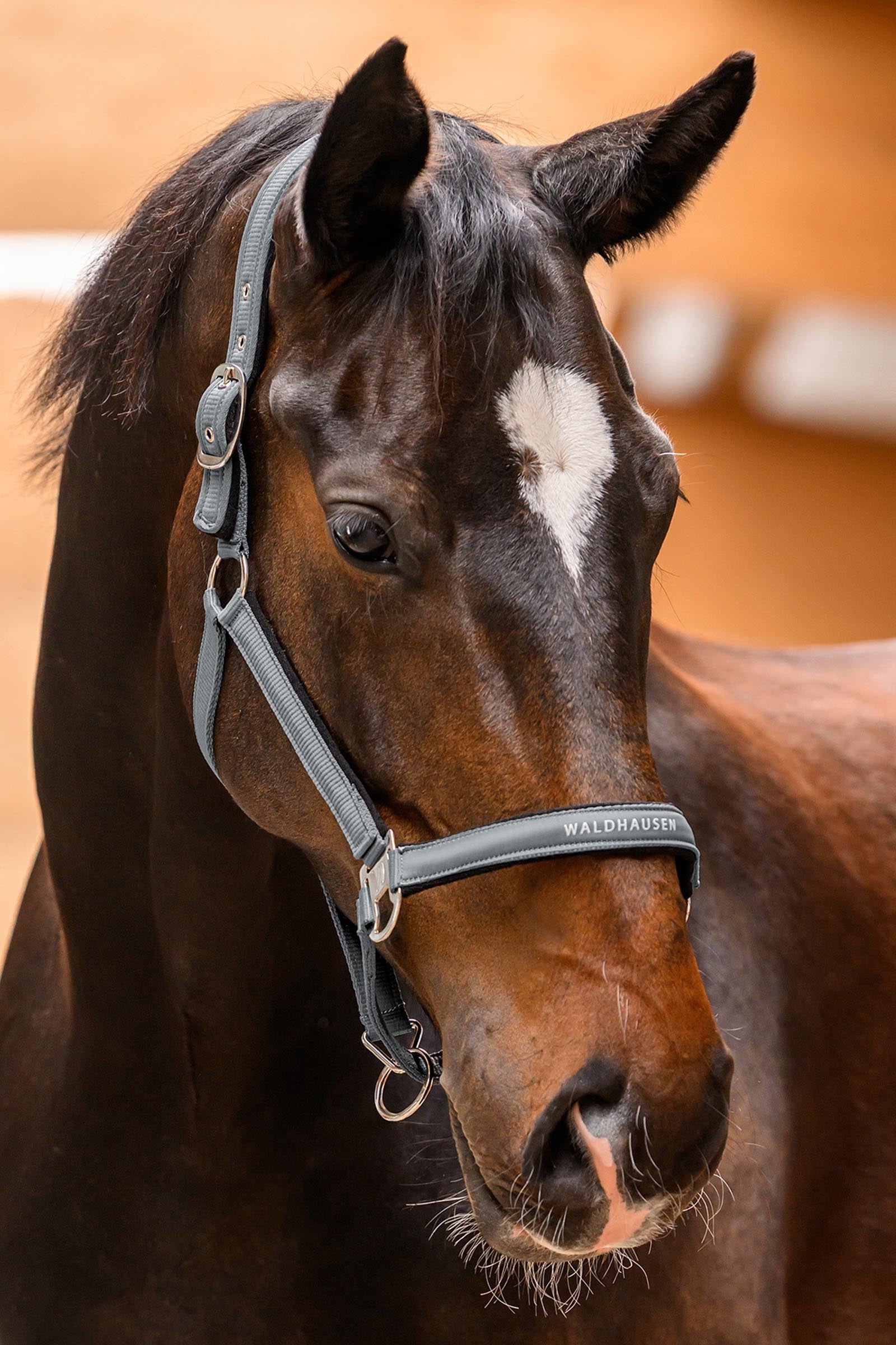 Waldhausen Athletic Halter Halters & Leads
