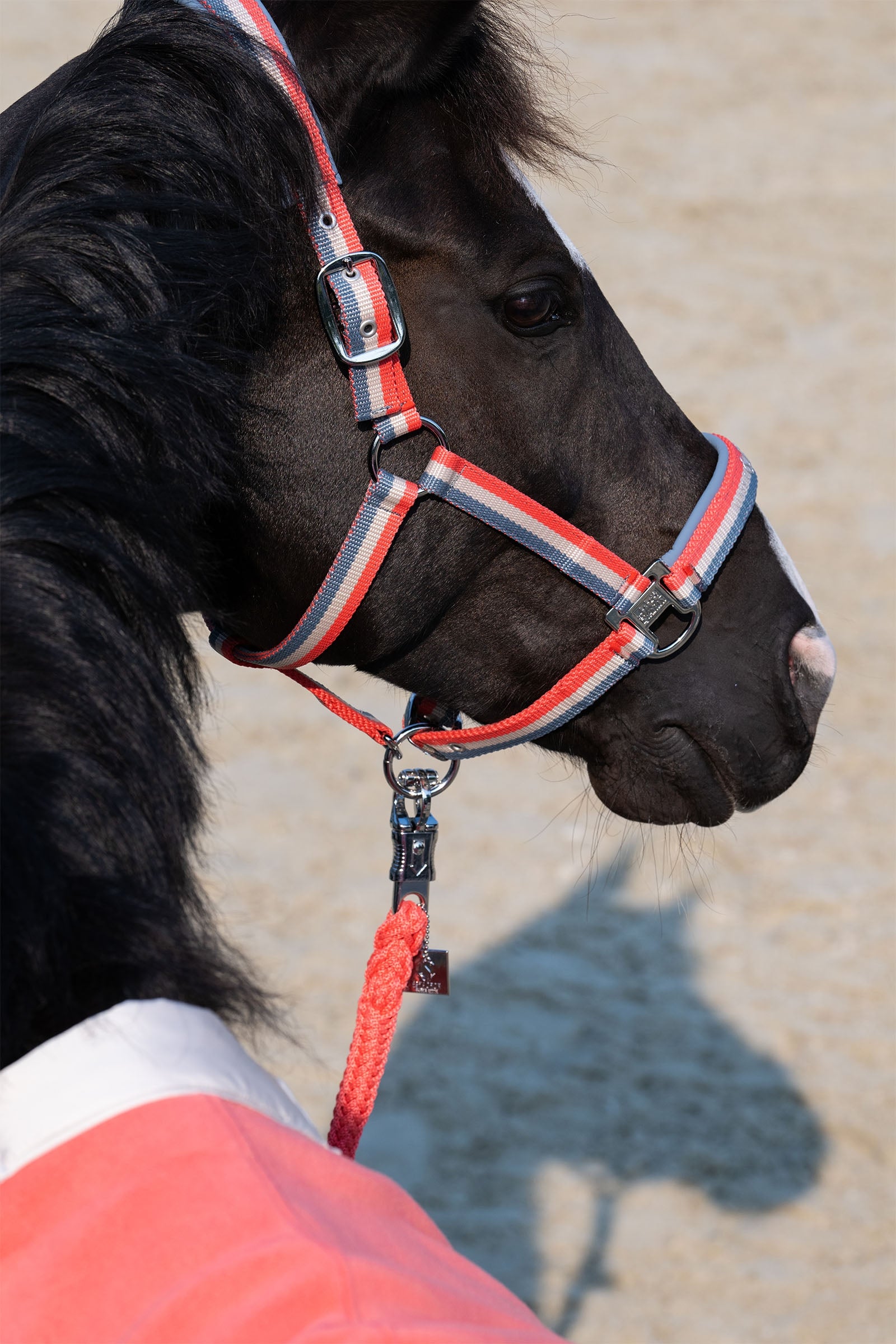 Eskadron Classic Sports SS25 Double Pin Headcollar Halters & Leads