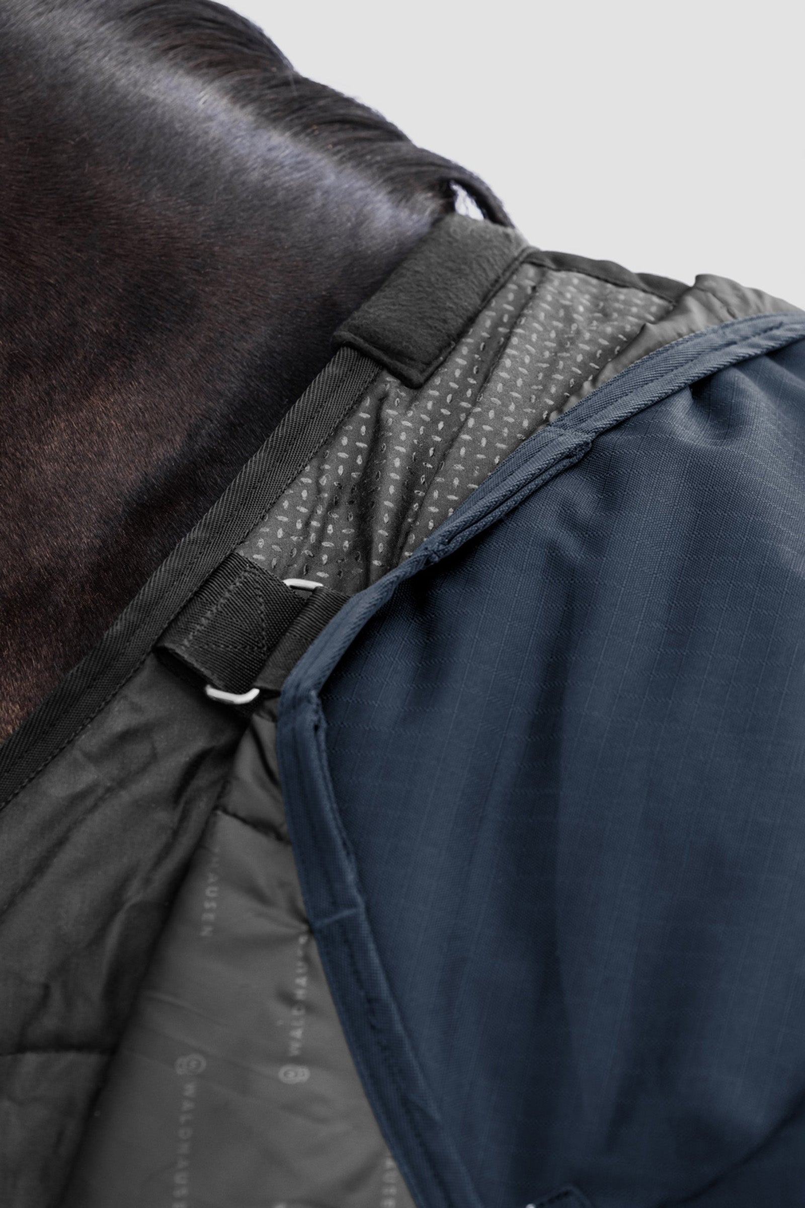 Waldhausen Outdoor Rug Scandic Multi-Layer 250 g/100 g Horse Rugs