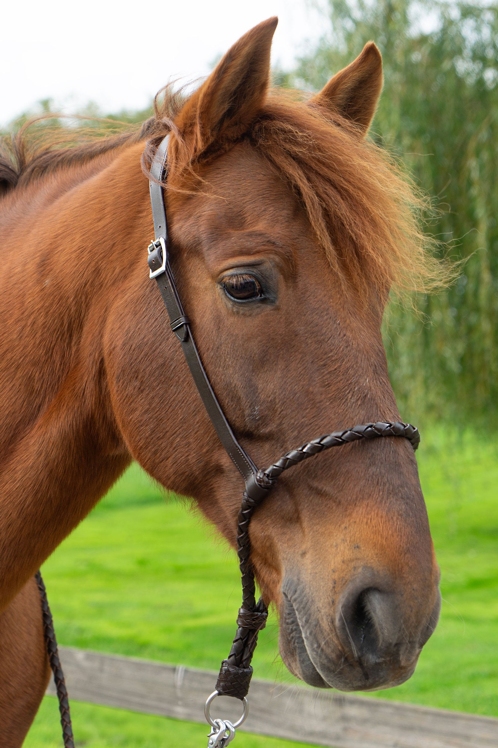 F.R.A. Freedom Riding Articles Bosal Tigo (System 2) Bridles & Reins