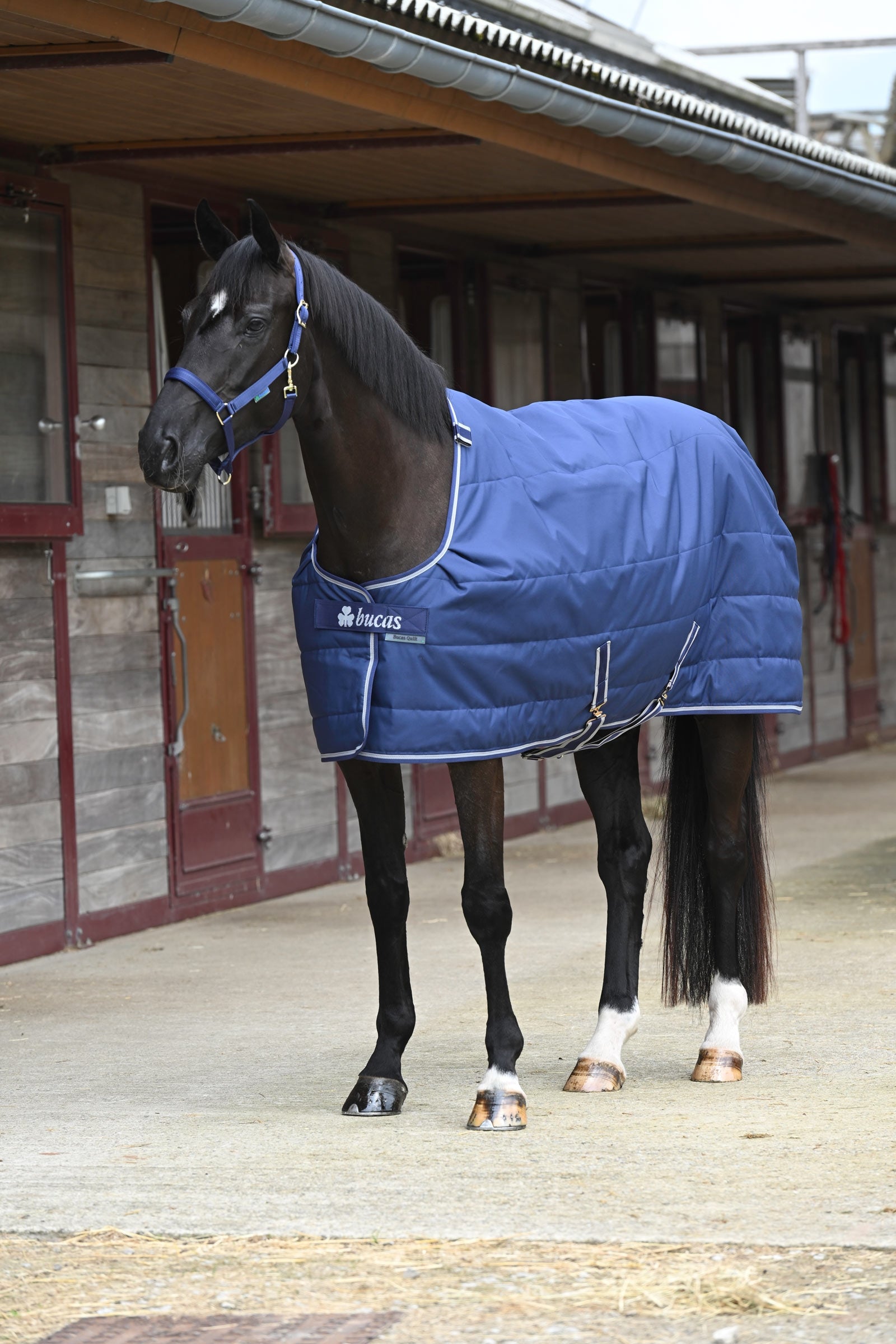 Bucas Quilt Stay-dry, 150g Hestedækken