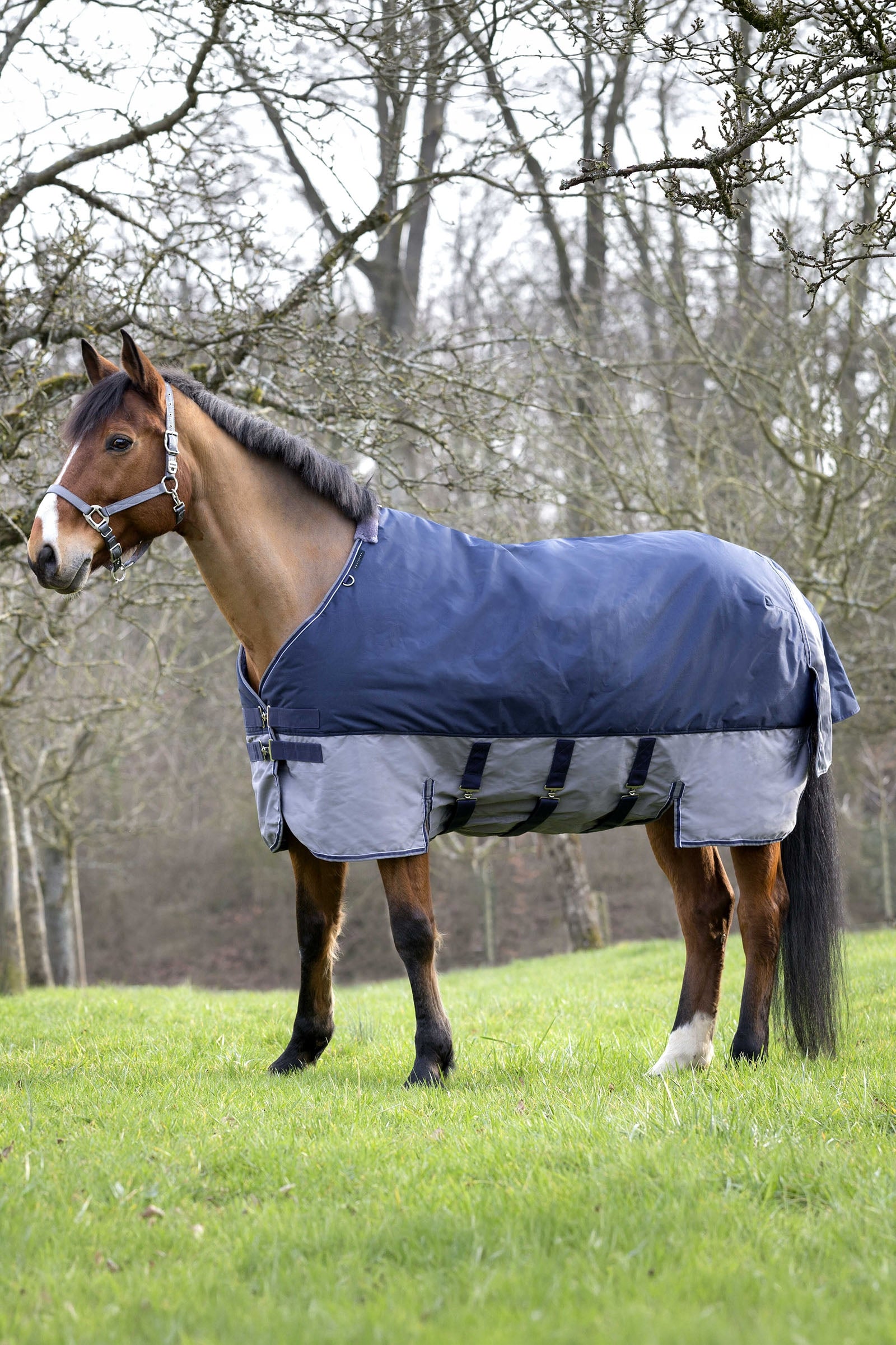 Equi Theme EQUITHÈME TYREX 600D Turnout Rug, 0 g Horse Rugs