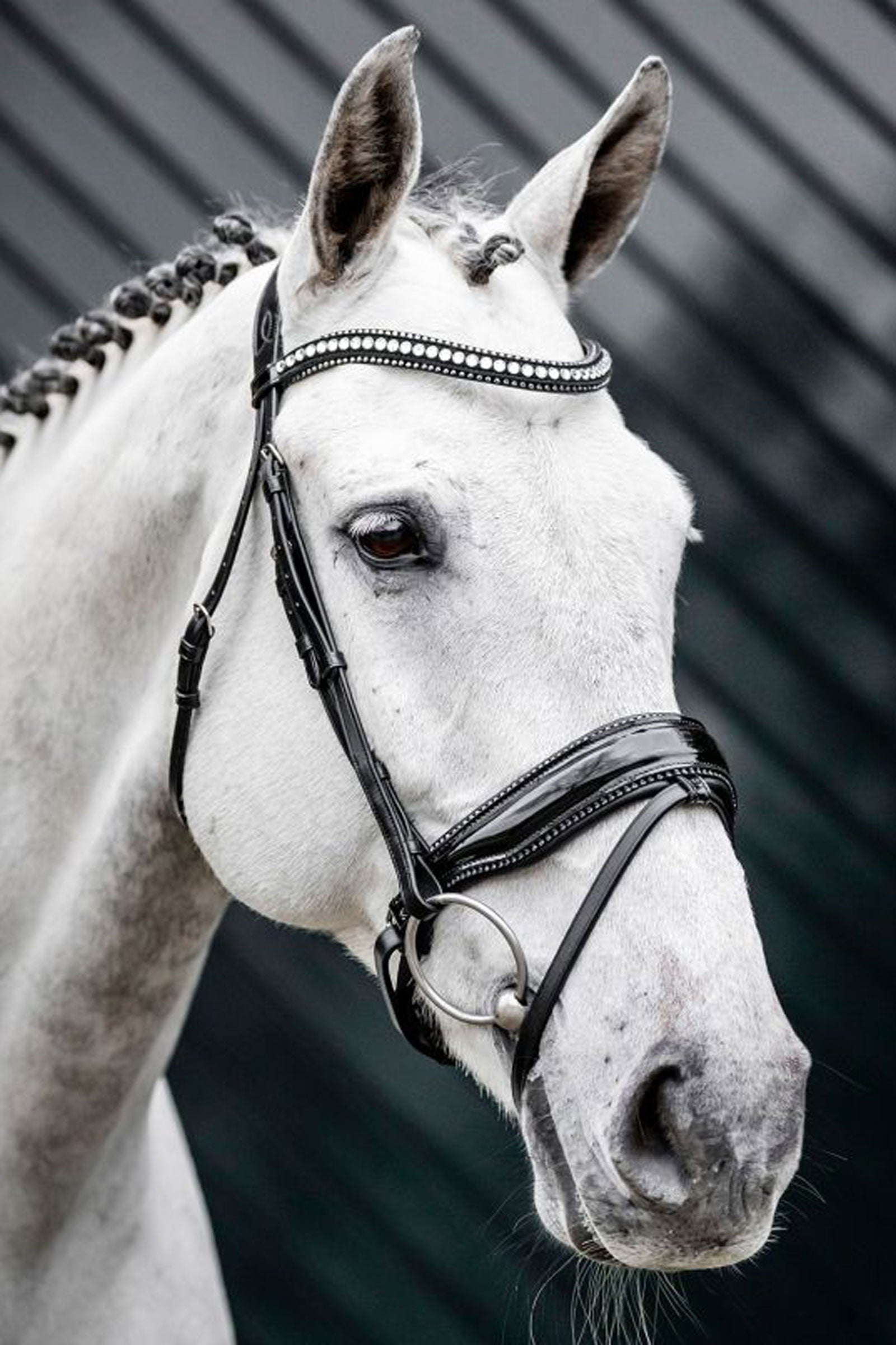 Horseware Diamante trense med kombineret næsebånd Trenser & tøjler