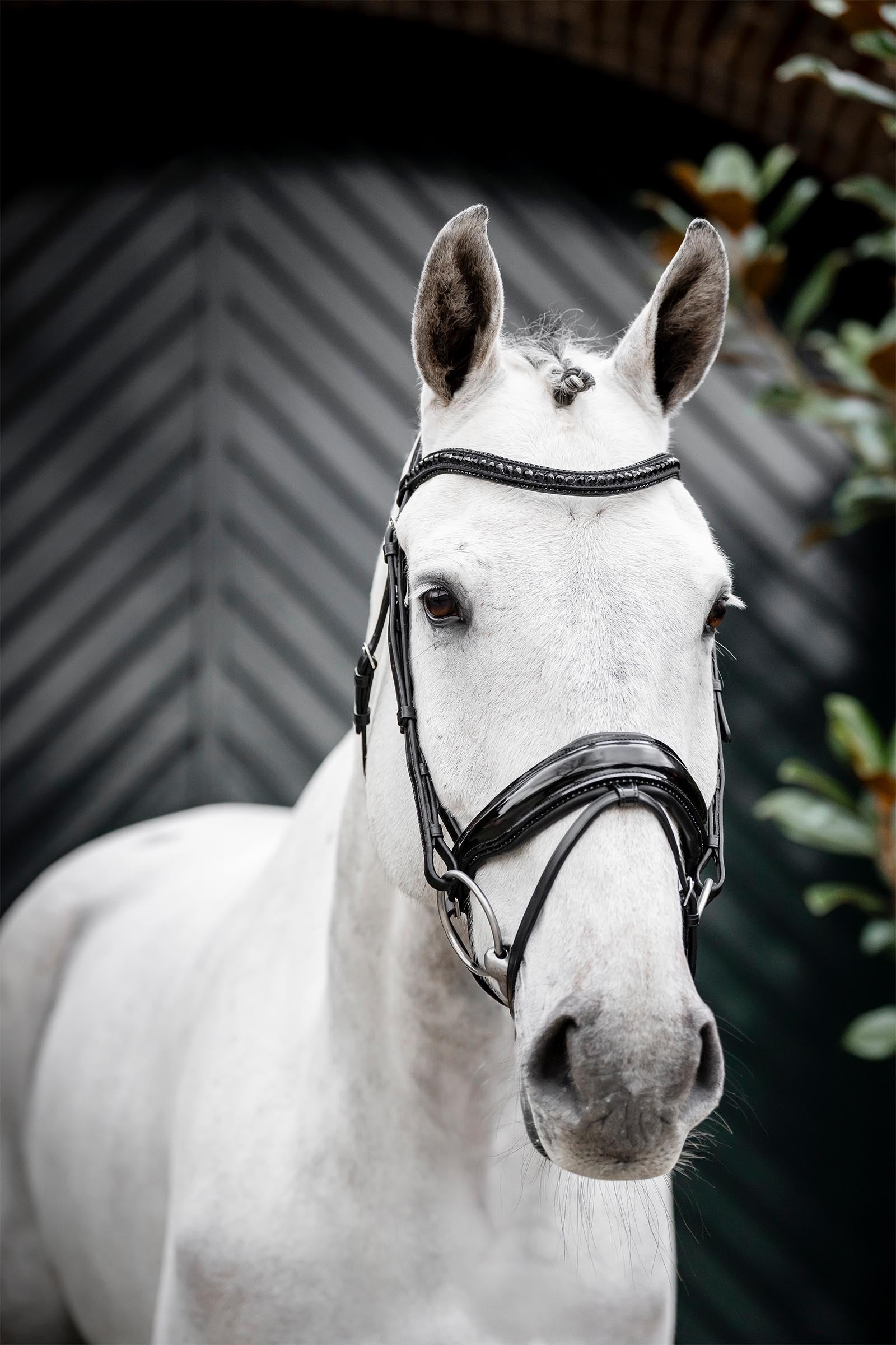 Horseware Diamante Flash Bridle Bridles & Reins