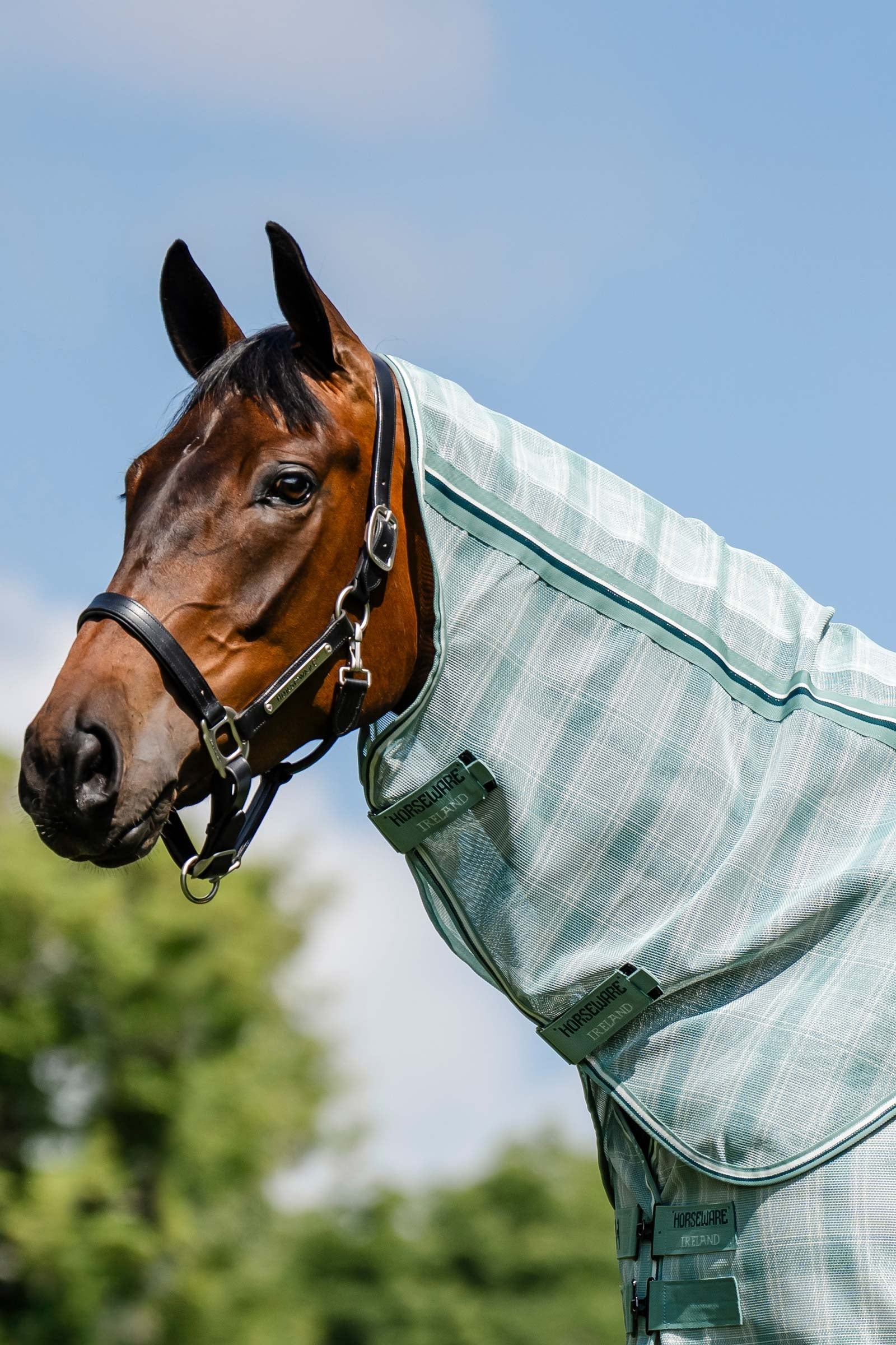 Horseware Newmarket Fly Sheet Hood With UV-Protection Horse Rugs