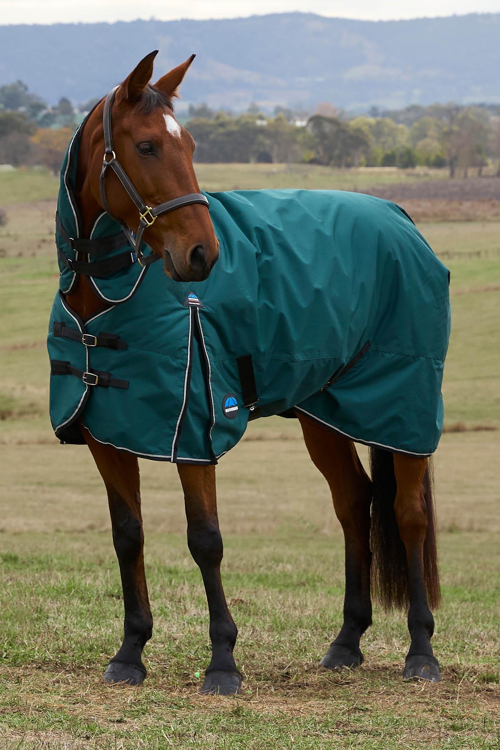 Weatherbeeta Comfitec Classic Turnout Rug Combo 220g Horse Rugs