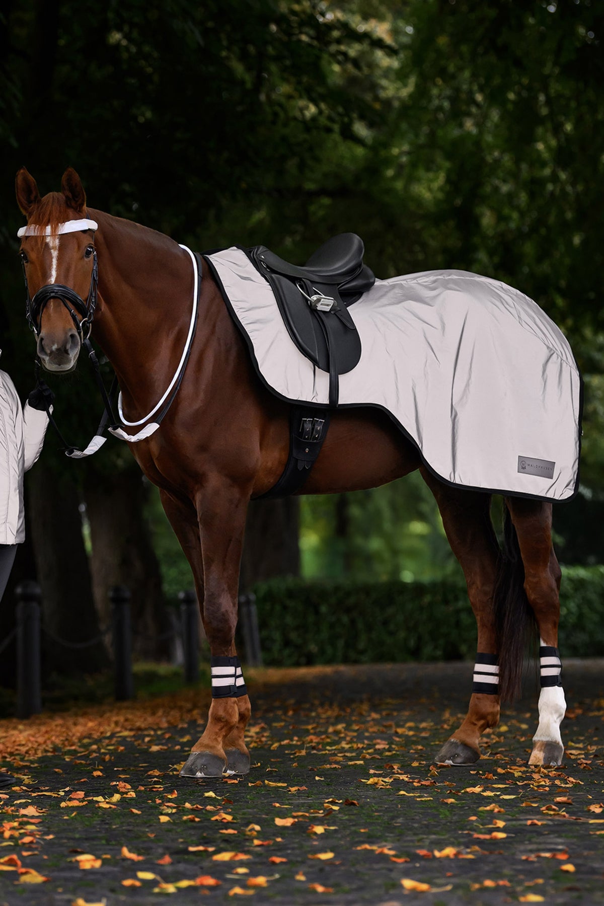 Waldhausen REFLEX Exercise Rug Reflective