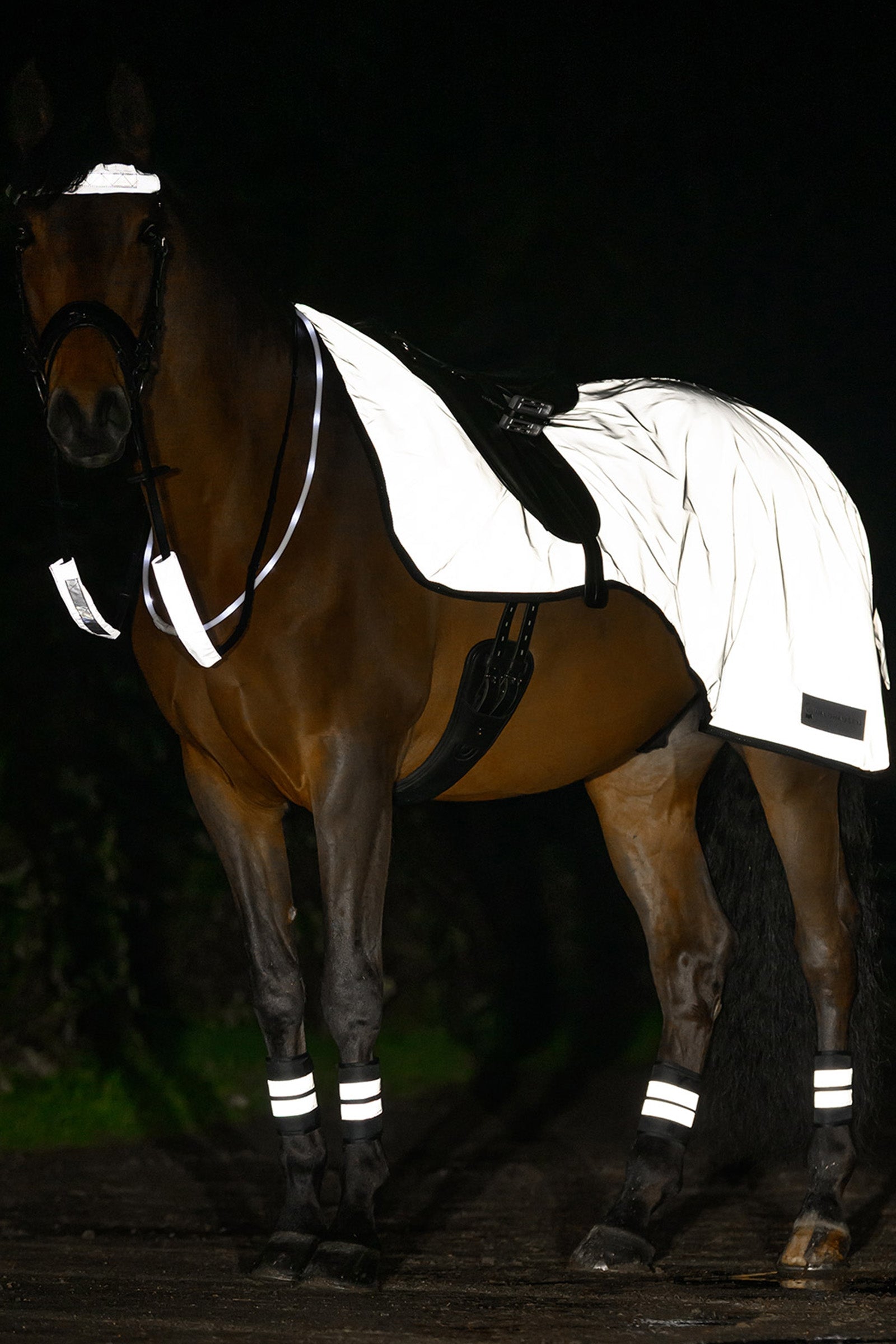 Waldhausen REFLEX Exercise Rug Reflective