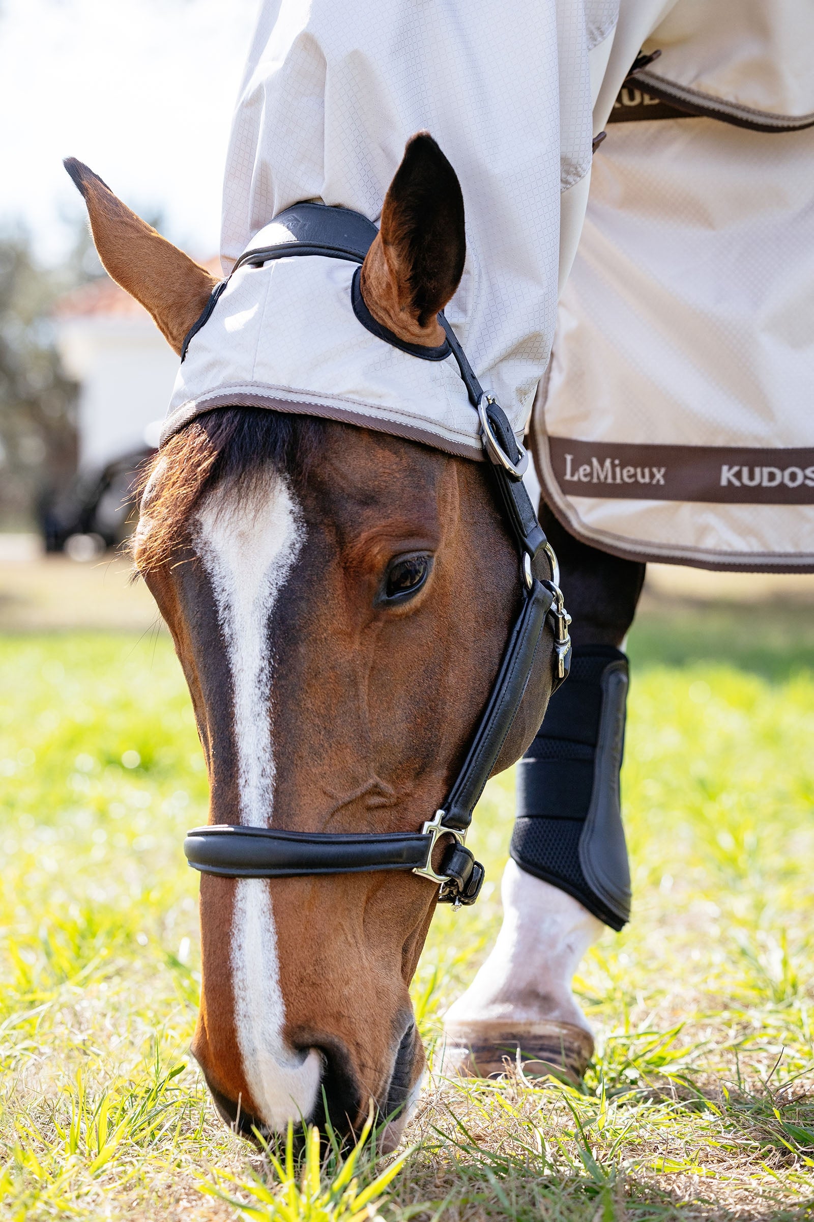LeMieux Kudos Shower Pro Sweet Itch Rug With Detachable Neck Horse Rugs