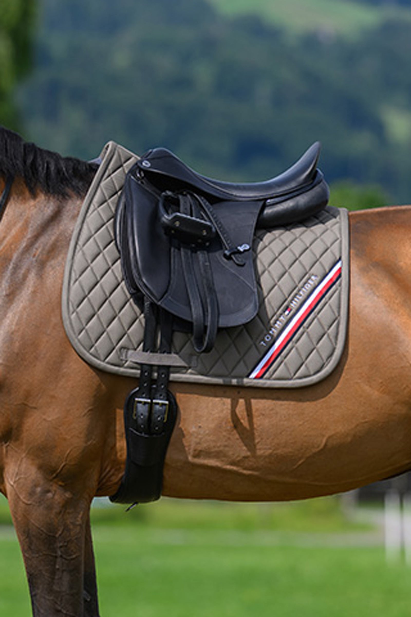 Tommy Hilfiger Equestrian Stanford dressurunderlag Sadelunderlag