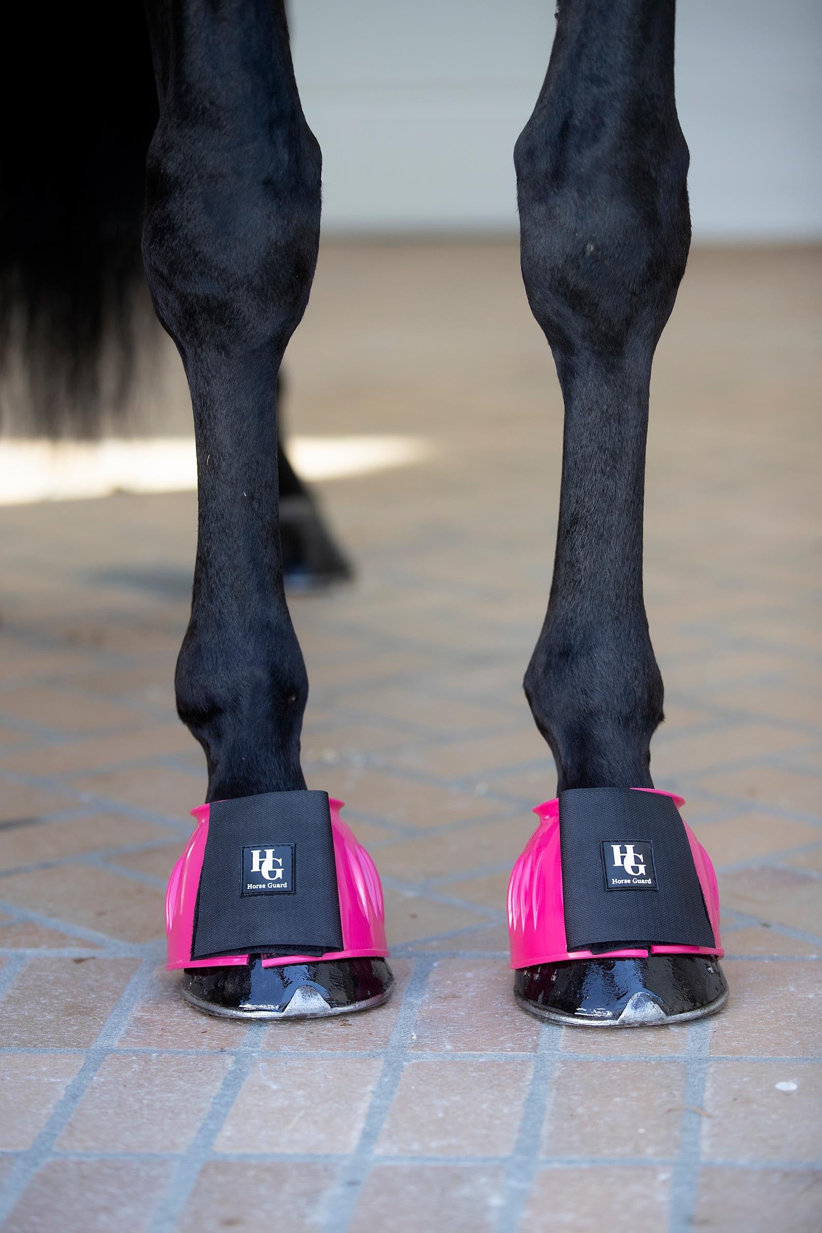 Horse Guard HorseGuard Tamsin Bell Boots Leg & Hoof Protection