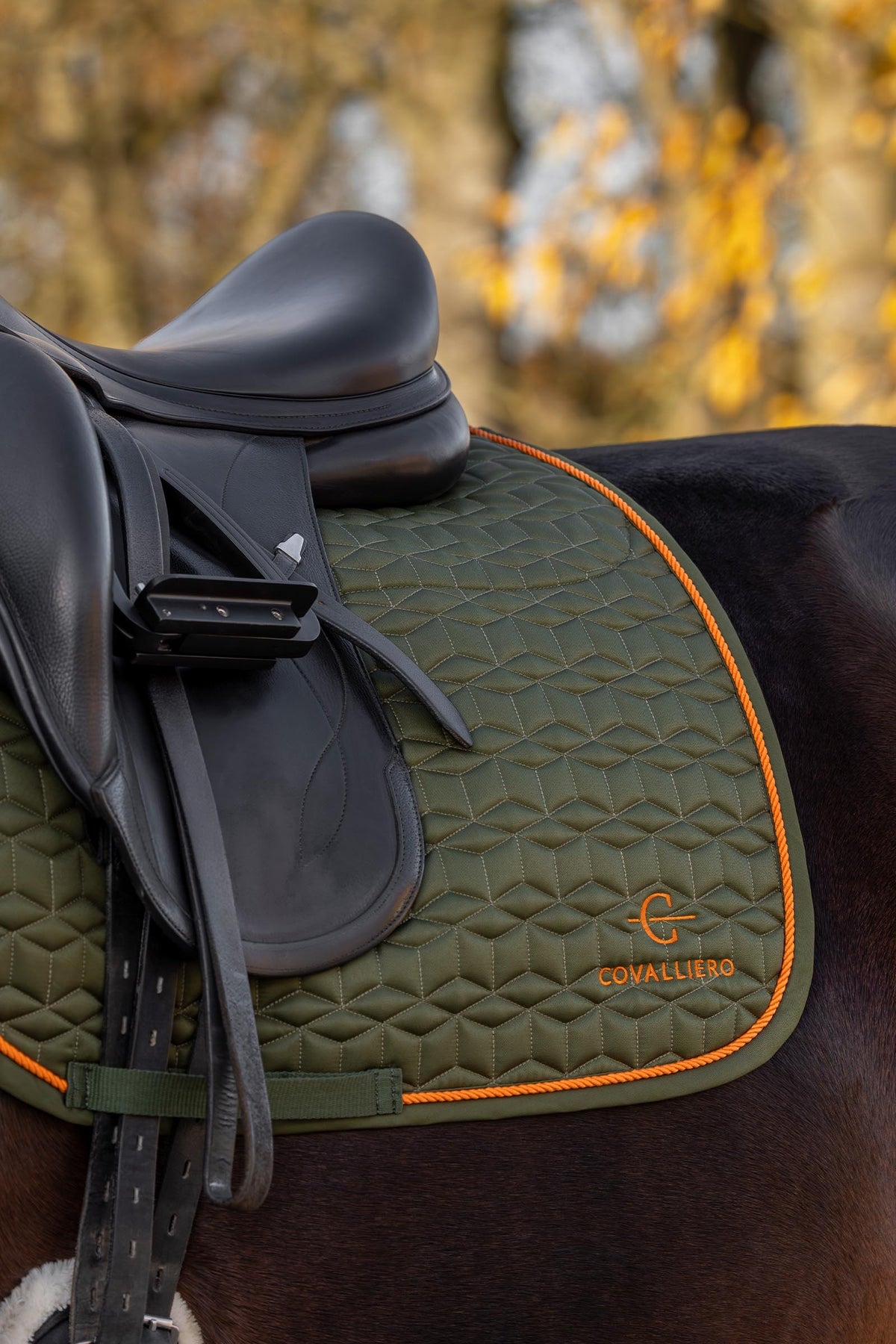 Covalliero FW26 Soft Dressage Saddle Pad Saddle Pads