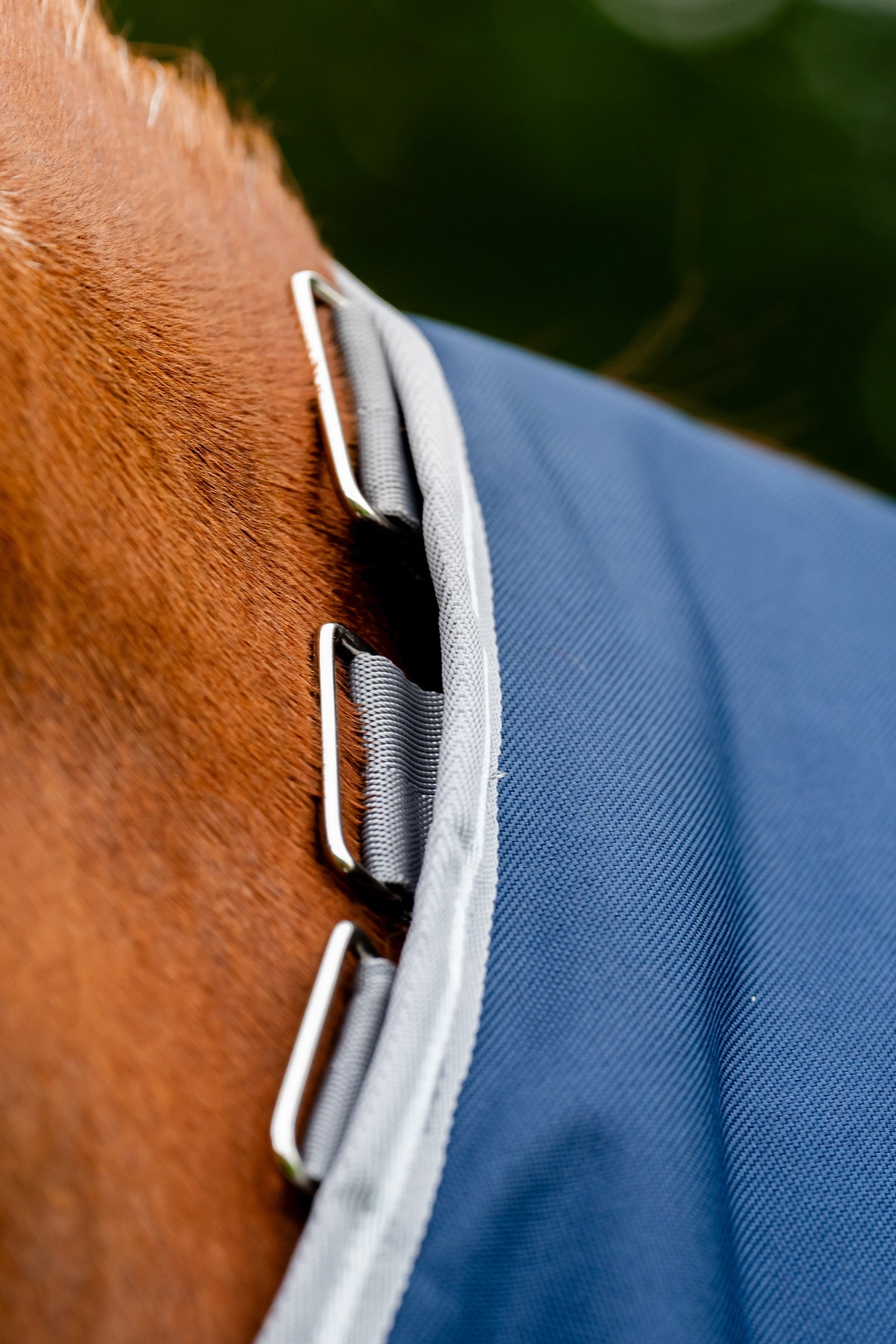 Horseware Amigo 1200D Plus Turnout Rug, 250 g Horse Rugs