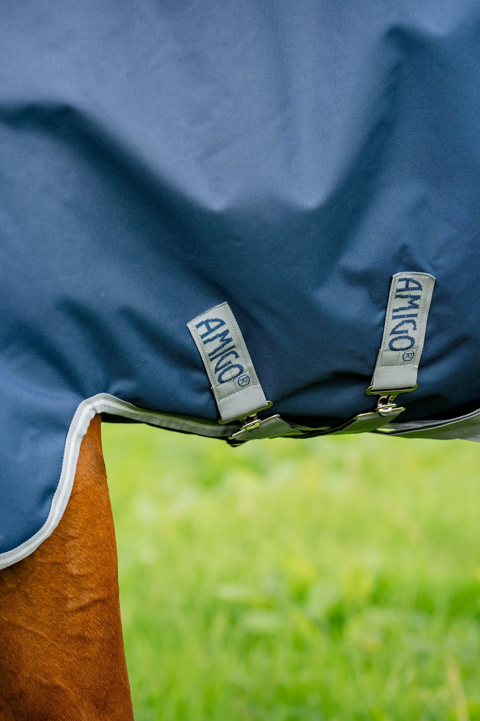 Horseware Amigo 1200D Plus Turnout Rug, 250 g Horse Rugs