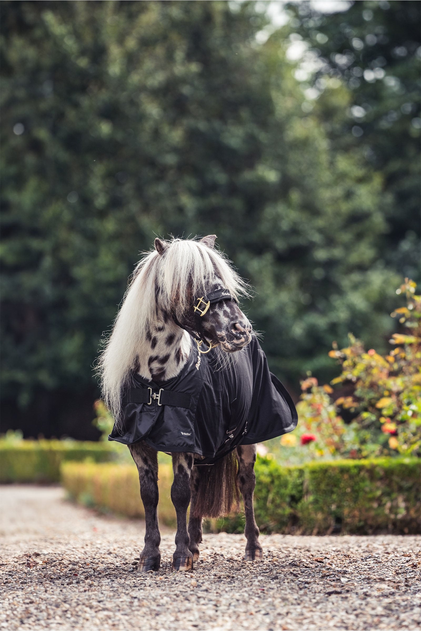 undefined Back on Track Royal Pony Mesh Rug Deluxe Horse Rugs