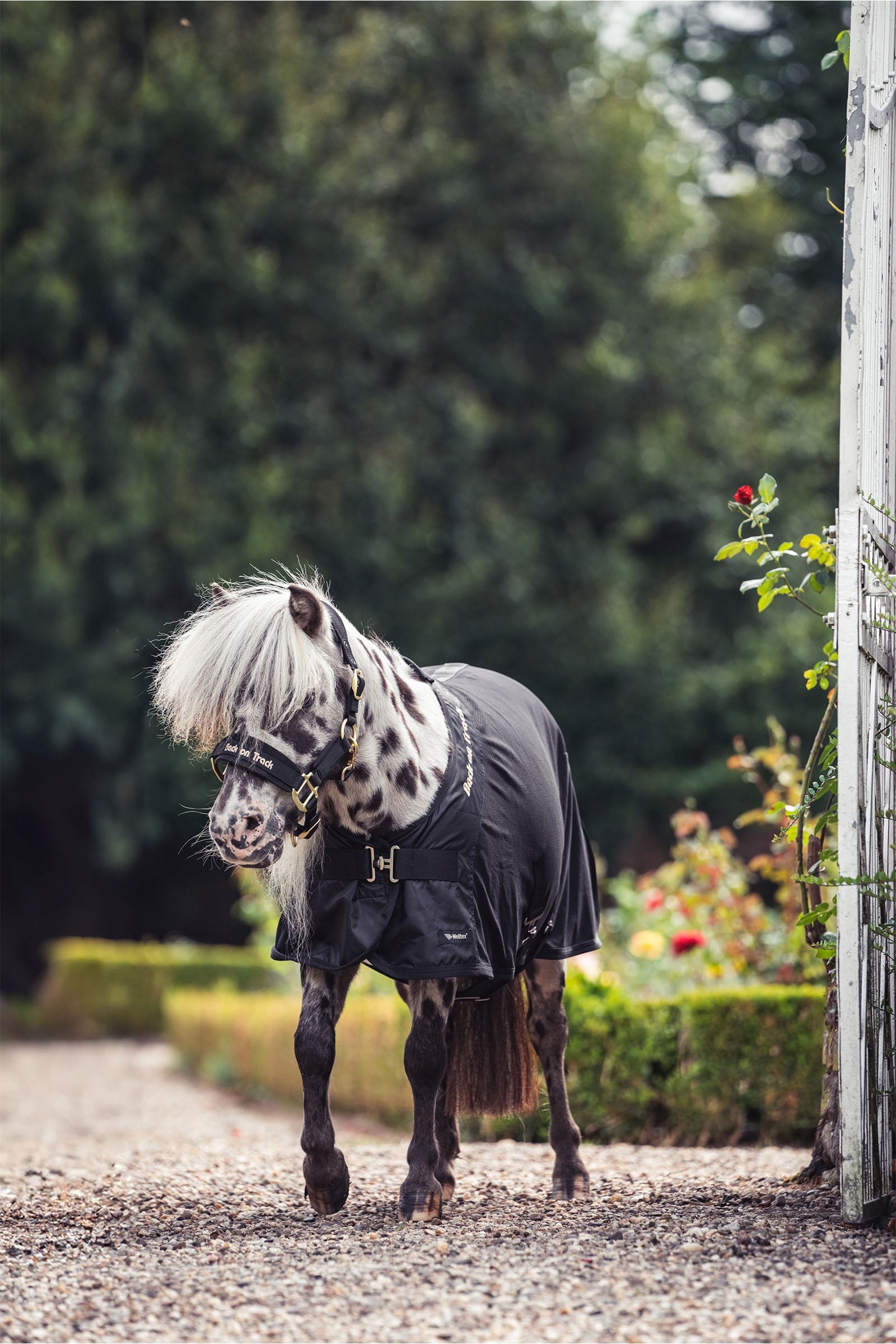 undefined Back on Track Royal Pony Mesh Rug Deluxe Horse Rugs