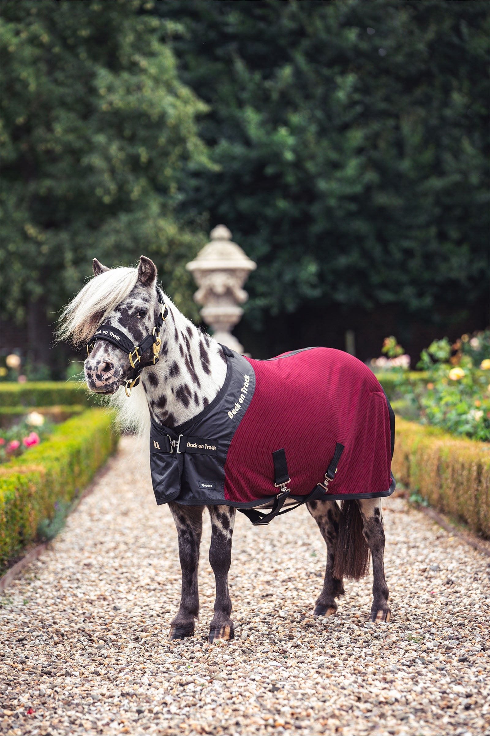 Back on Track Royal Pony Mesh Rug Deluxe Horse Rugs