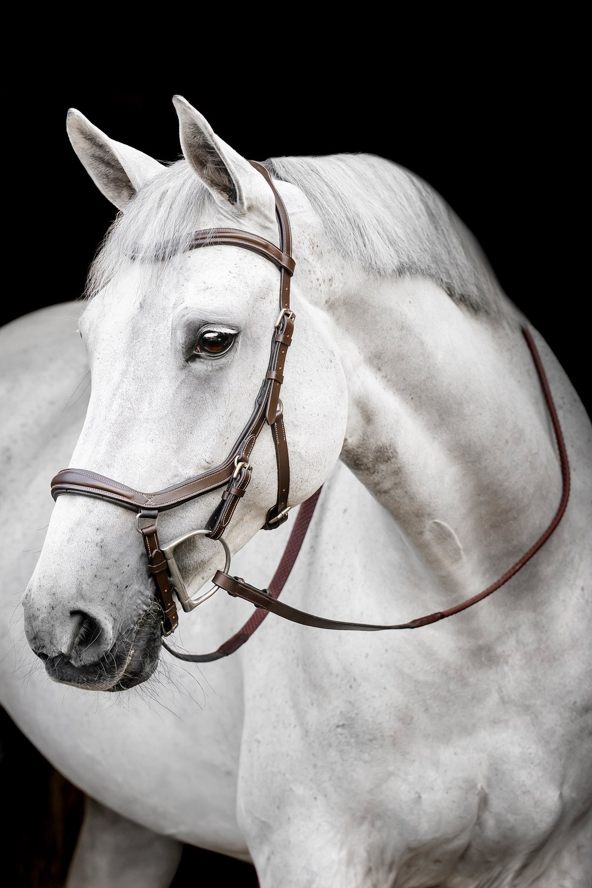 Horseware Deluxe Competition Micklem Bridles & Reins