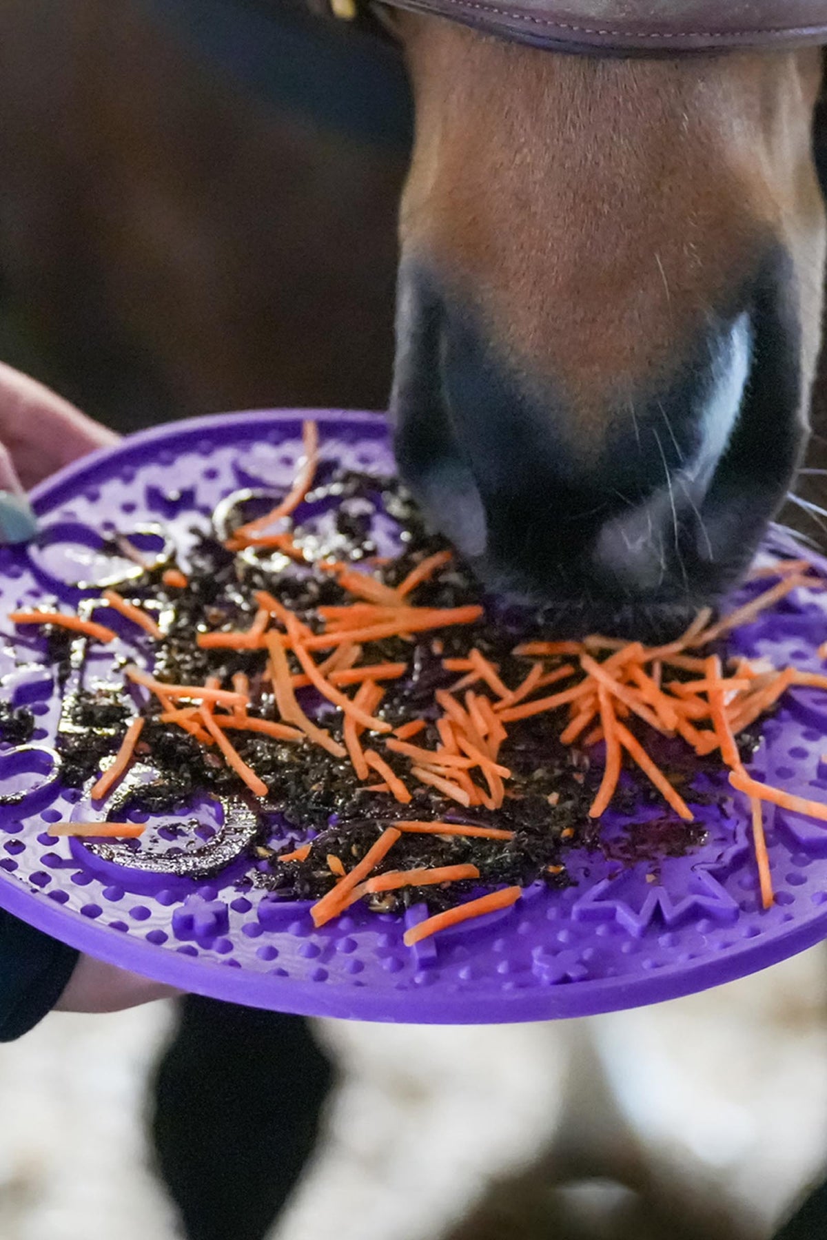 Likit Graze Maze Lick Mat Horse Feed & Nutrition