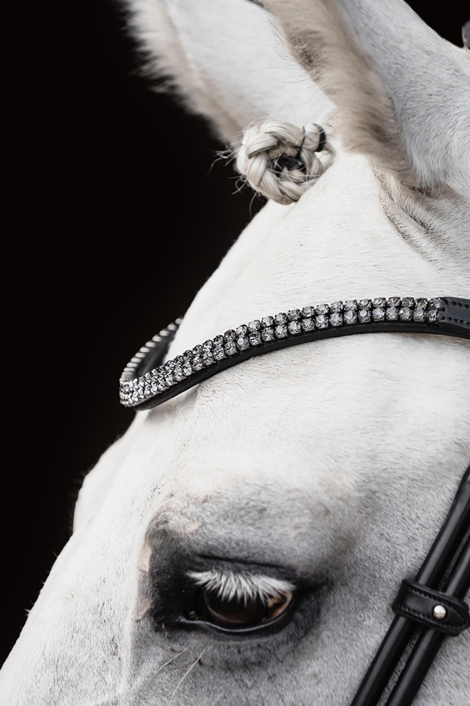 Schockemöhle Sports Satchmo Bridle - Isabell Werth Collection Bridles & Reins