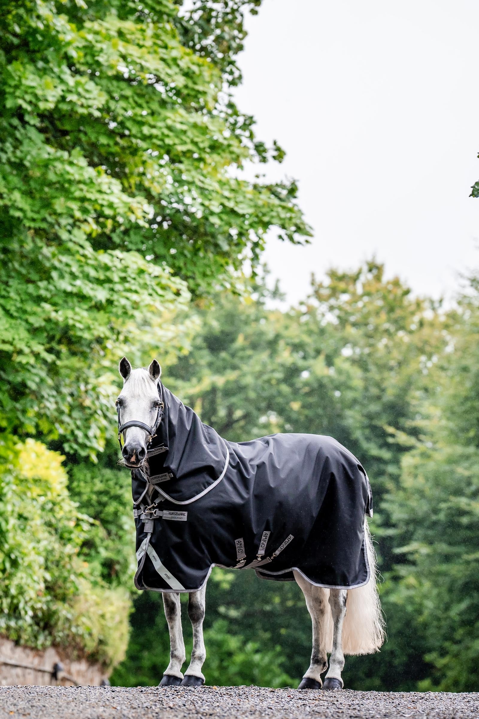 Horseware Amigo Bravo 12 Plus Bundle Turnout Rug 50g, With 2 Liners Horse Rugs