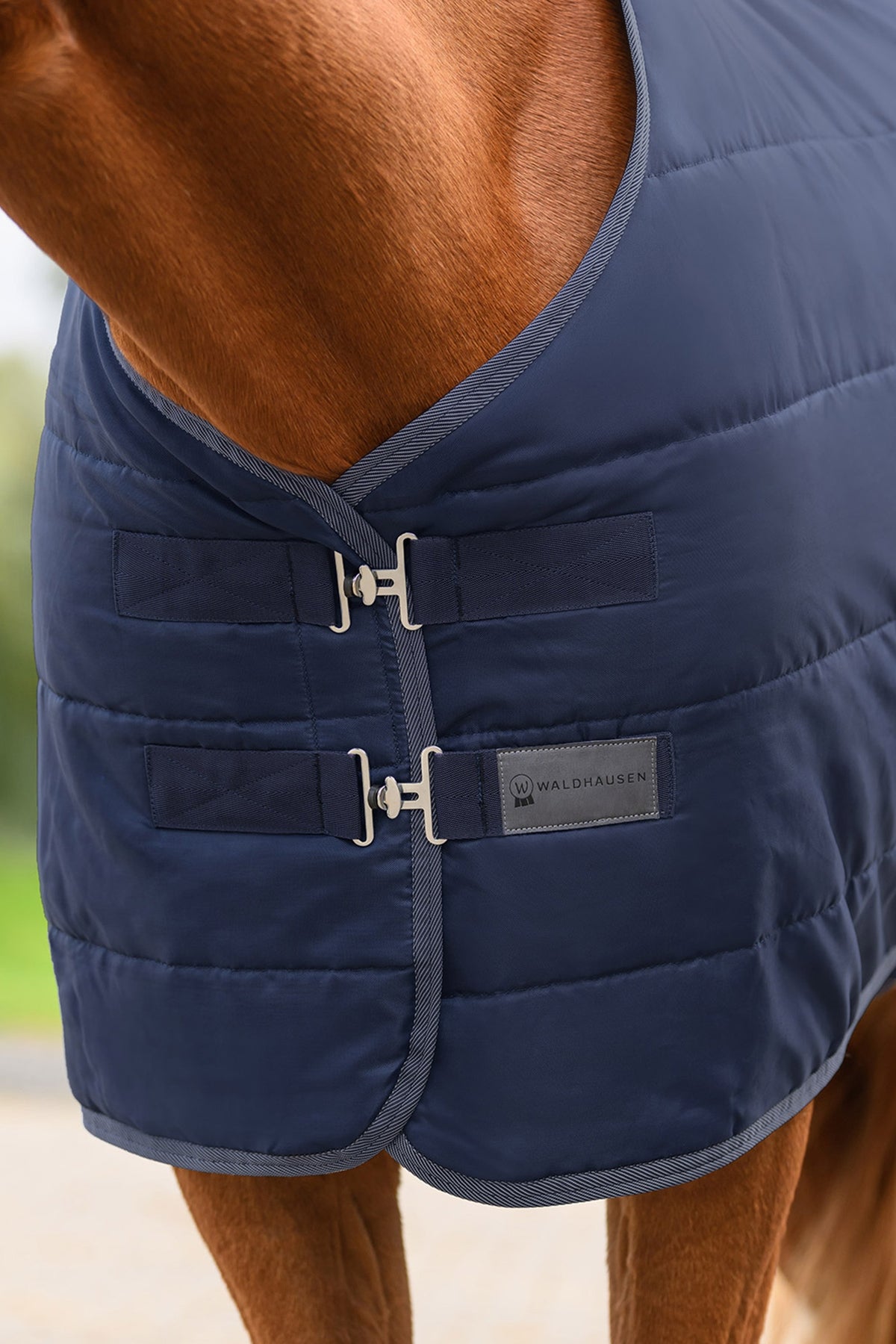 Waldhausen ECONOMIC Stable Rug, 200 g Horse Rugs