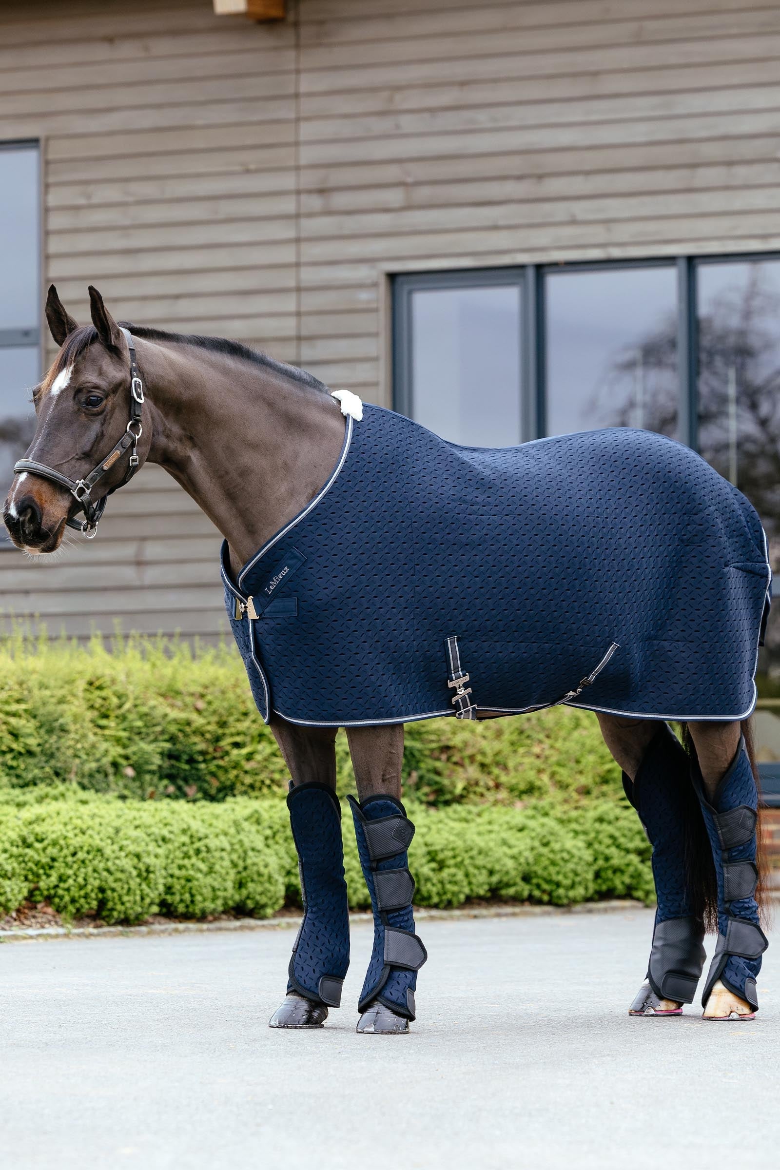 LeMieux Kudos 3D Mesh Travel Boots Leg & Hoof Protection