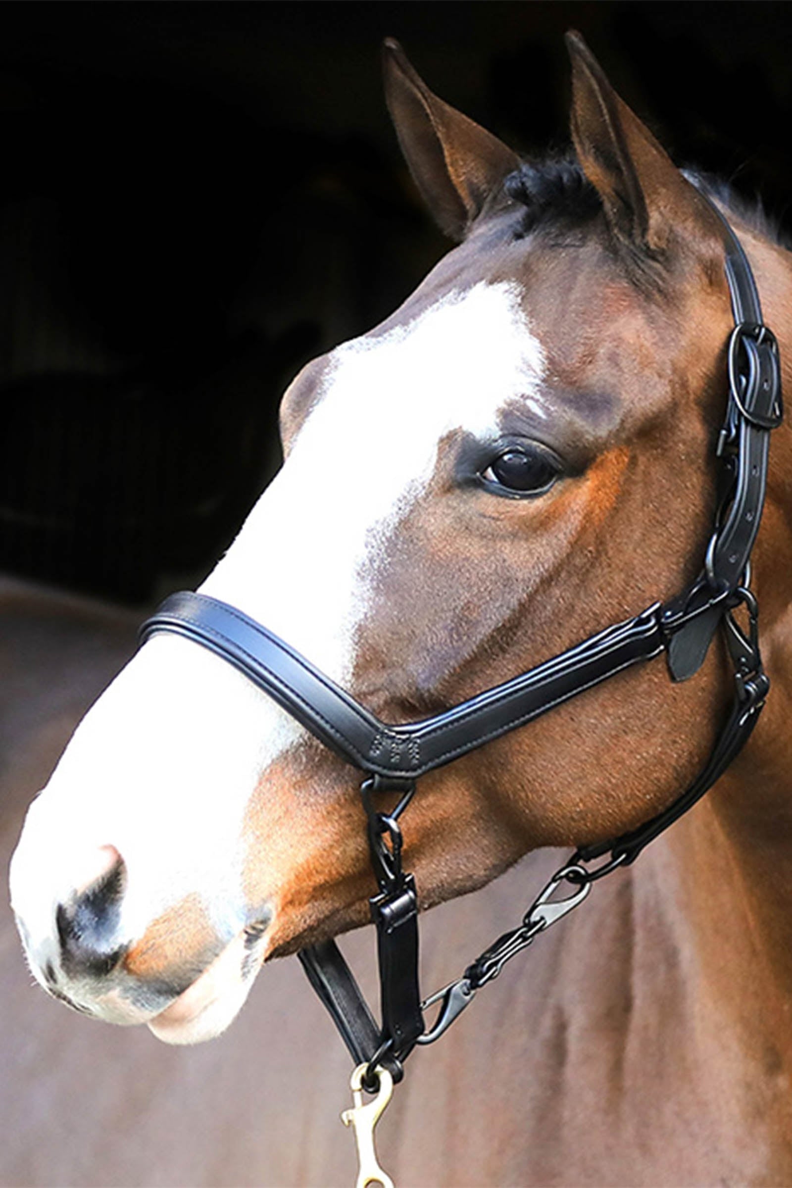 Liveryman Leather Clipping Headcollar Klipning & Trimning