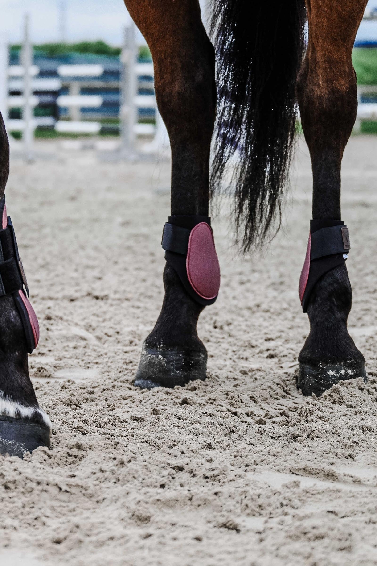 EQUITHÈME Tara Fetlock Boots Leg & Hoof Protection