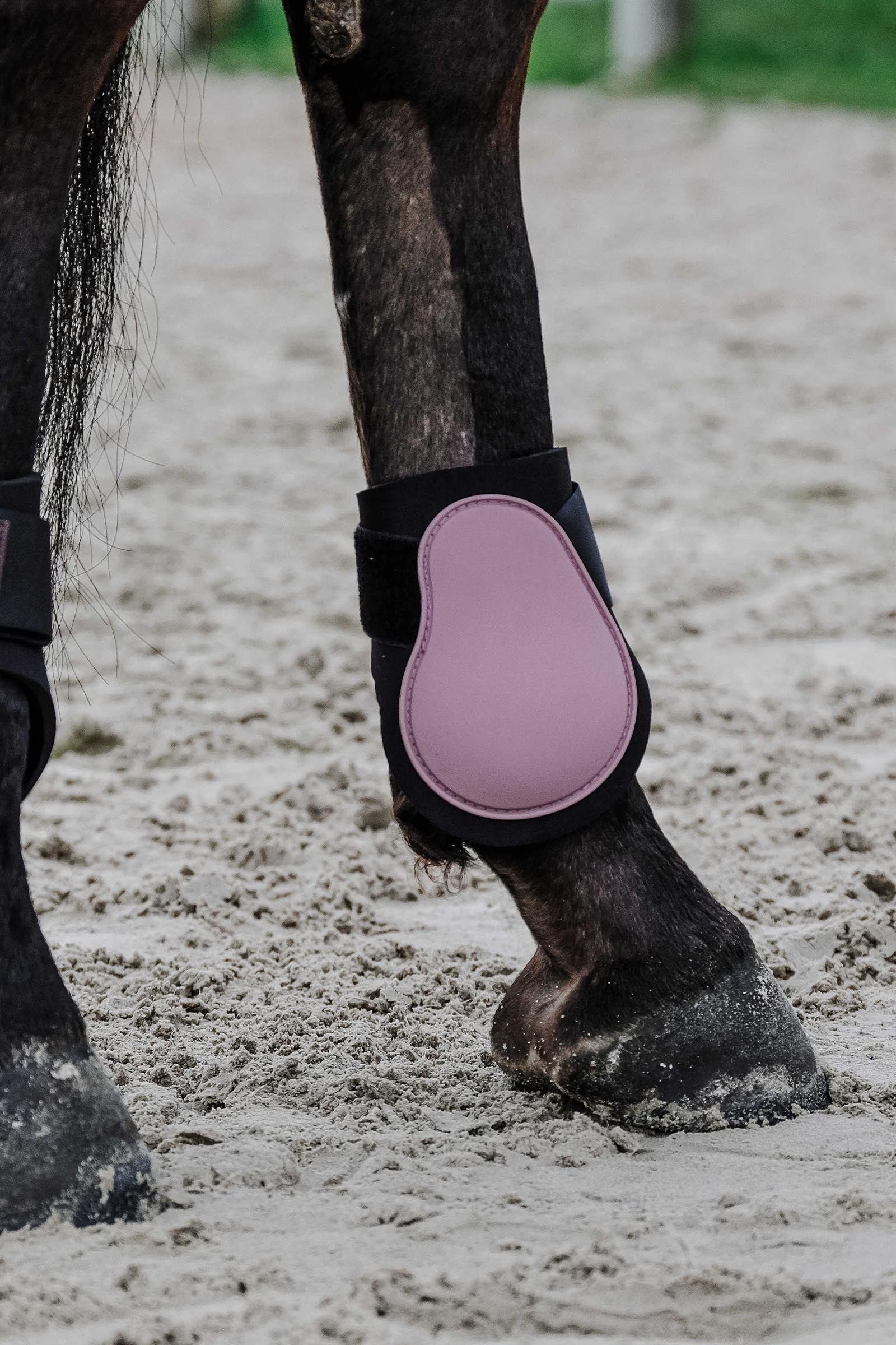 Equi Theme EQUITHÈME Tara Fetlock Boots Leg & Hoof Protection