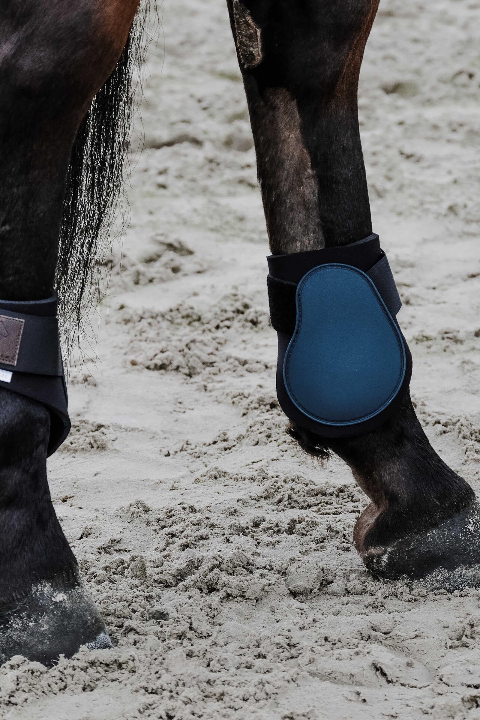EQUITHÈME Tara Fetlock Boots Leg & Hoof Protection