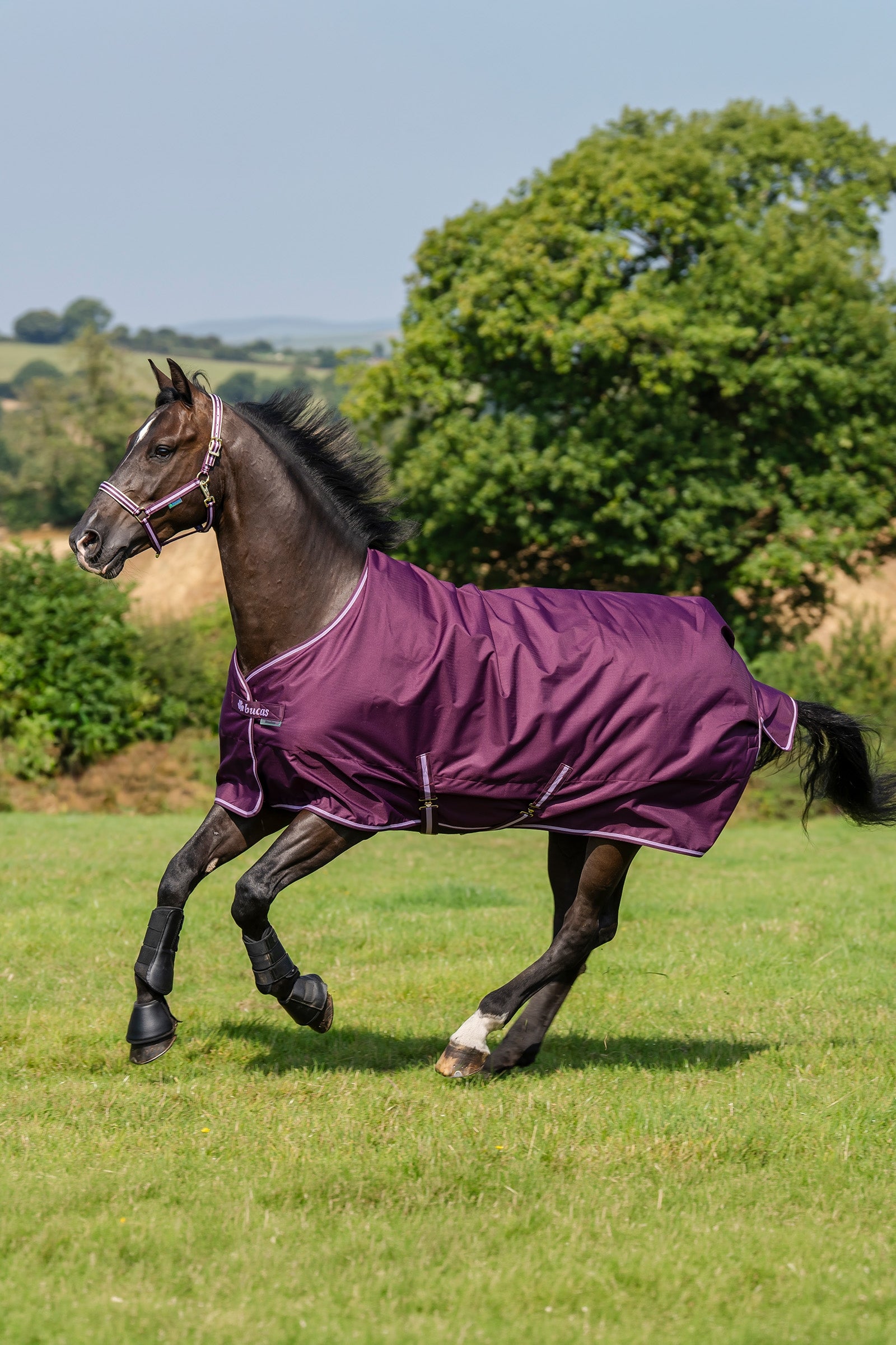 Bucas Freedom Light Pony Turnout Rug, 0g Horse Rugs
