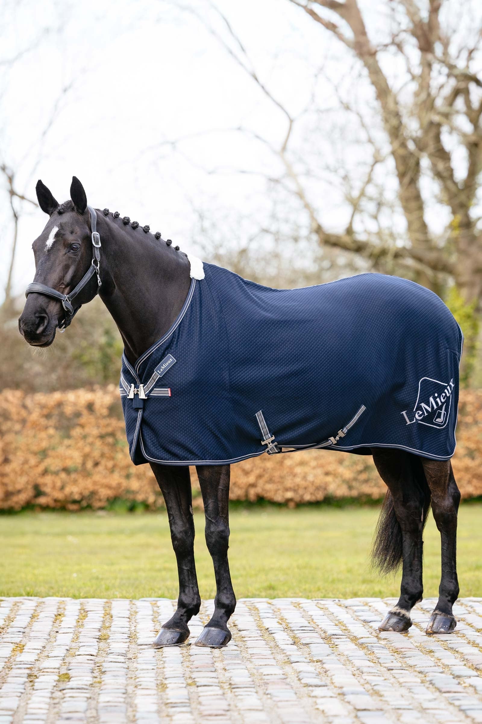 LeMieux Kudos Bambus Absorberende dækken Hestedækken