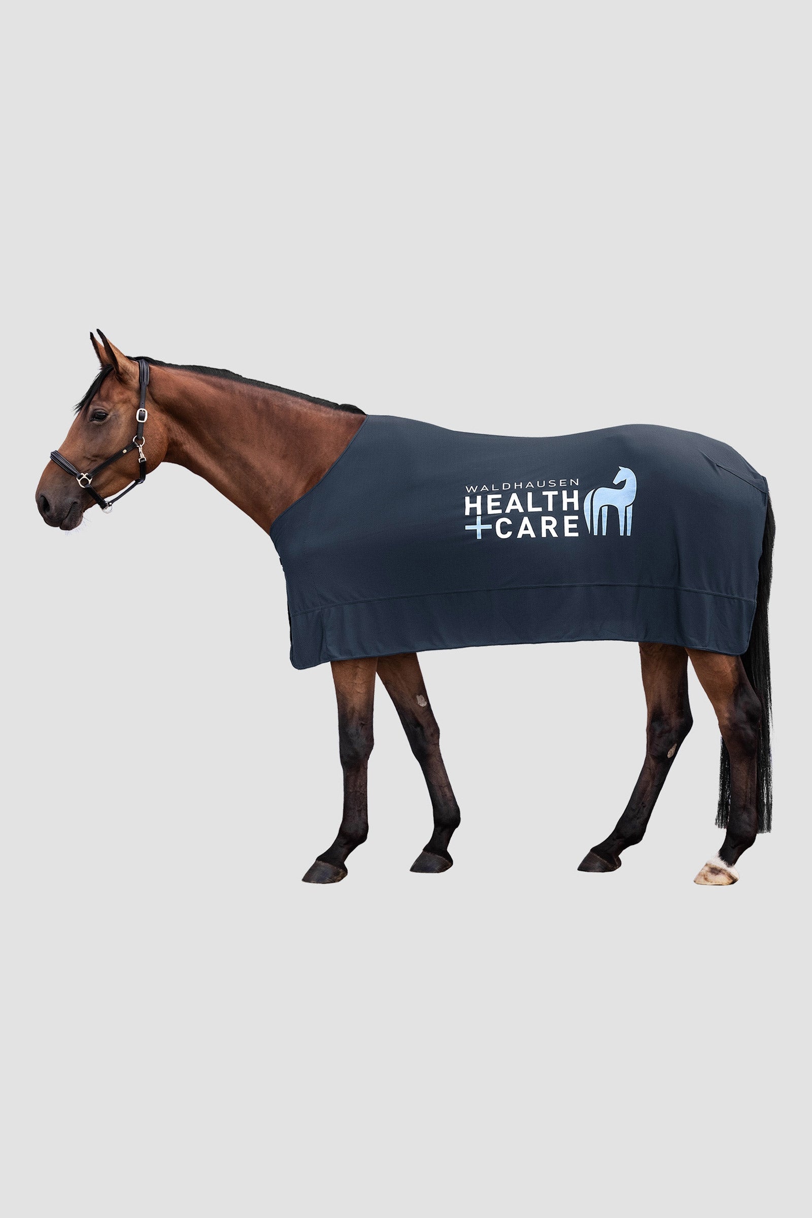 Waldhausen Health & Care Ice Layer Rug Horse Rugs