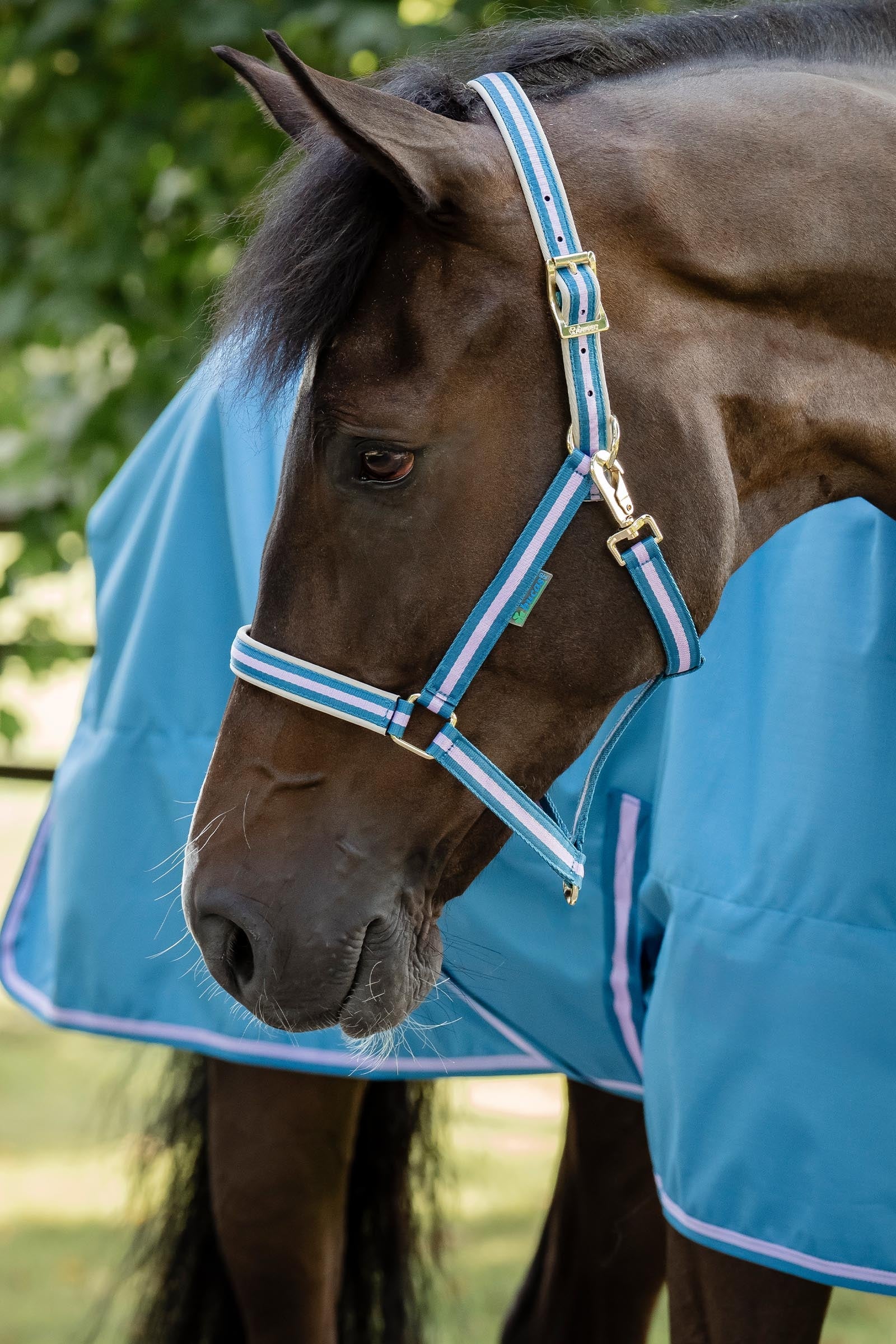 Bucas Freedom Pony Turnout Rug, 150g Horse Rugs