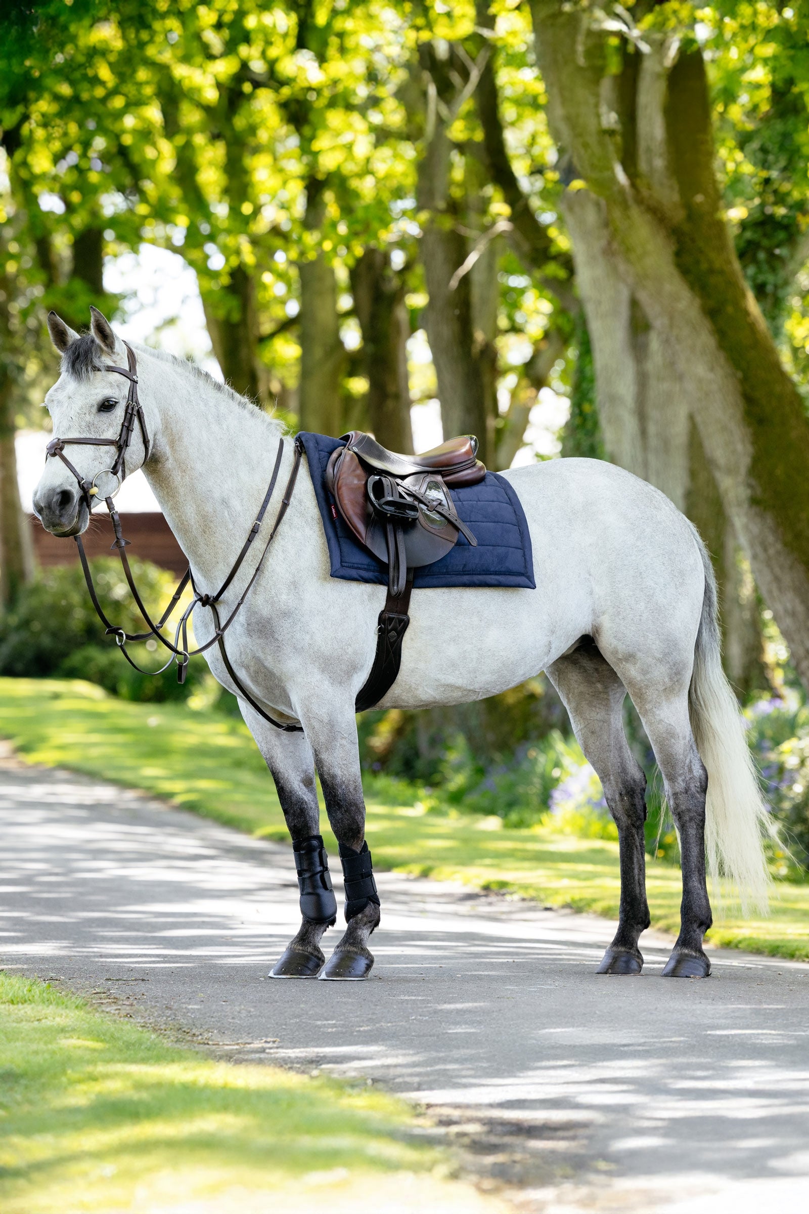 LeMieux Pillow Cushioned All Purpose Saddle Pad Saddle Pads