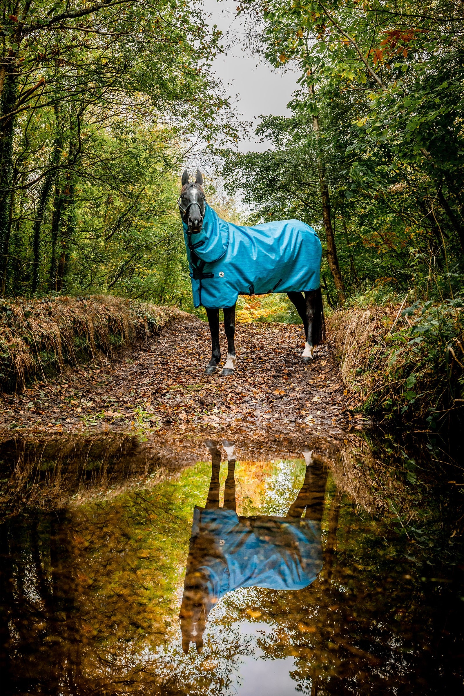 Horseware Amigo Hero 900 Revive Plus Turnout Rug With Detachable Neck, 50 g Horse Rugs